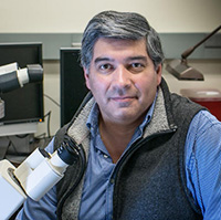 Congratulations to Dr. Claudio Aguilar named a 2018 University Faculty Scholar!